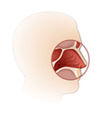 The Ranch Orthodontics | Early Treatment, Traditional Braces and Retainers